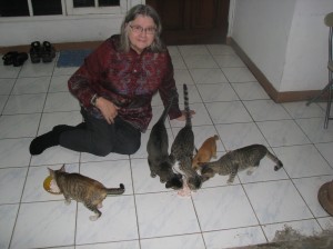 Dr. Birute at the OFI Jakarta office with the mother cat and her offspring who adopted us